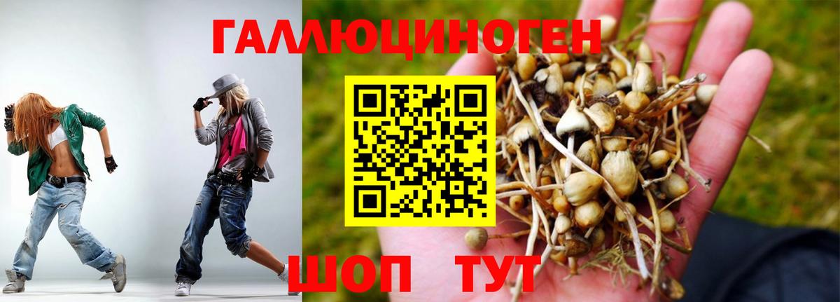 Соль-Илецк  Псилоцибиновые грибы мухоморы  Вход с VPN 